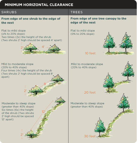 Tree Planting Spacing Chart